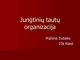 Jungtinių tautų organizacija projektas 