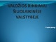 Valdžios rinkimai šiuolaikinėje valstybėje