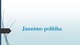 Jaunimo politika