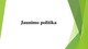 Jaunimo politika skaidrės