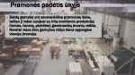 Baldų pramonė skaidrės 3