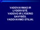 Vadovavimas ir lyderystė skaidrės