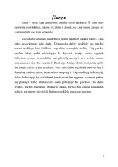 Asmenybės analizė referatas 3