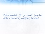 Psichoanalitinė žmogaus samprata 2