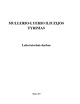 Mullerio - Lyerio iliuzijos tyrimas