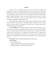 pradžia darbas pasitikėjimas