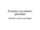 Emocijos ir jų valdymo galimybės 