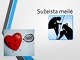 Sužeista meilė