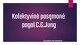 Kolektyvinė pasąmonė pagal C. G. Jung
