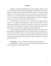 Žodžio viršenybės efektas 3