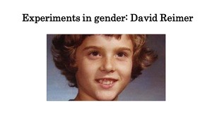 david reimer experiment