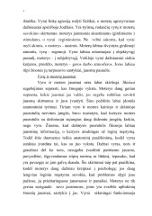 Lyčių skirtumai 2