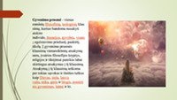 Skaidrės apie žmogaus gyvenimo prasmę 2