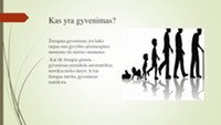 Skaidrės apie žmogaus gyvenimo prasmę 3