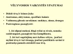 Vėlyvoji vaikystė 2