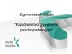Zigmundas Froidas 