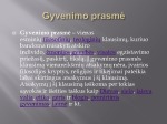 Gyvenimo prasmė pristatymas 2