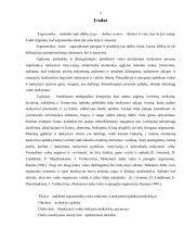 Ergonomika mokymosi aplinka 3