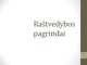 Raštvedybos pagrindai skaidrės
