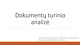 Dokumentų turinio analizės pristatymas