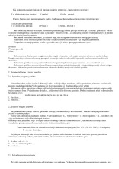 Raštvedybos dokumentų rašymo taisyklės 2