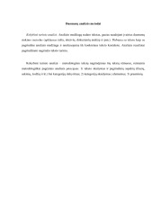 Dokumentų analizė ir metodai 3