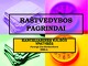 Raštvedybos pagrindai kanceliarinės kalbos ypatybės