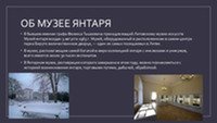 Музей янтаря и дельфинариум 3