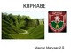 Kernavė rusų skaidrės