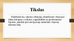 Vibracija projektas 3