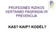 Profesinė rizika ir jos vertinimas