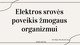 Elektros srovės poveikis žmonėms skaidrės
