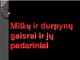 Miškų ir durpynų gaisrai ir jų padariniai