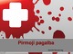 Pirmoji pagalba projektas (2)