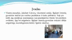 Geriatrinių ligonių reabilitacijos ypatumai 2