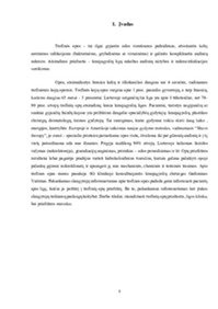 Trofinės opos priežiūra 3