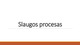 Skaidrės apie slaugos procesus ir slaugos problemas