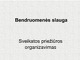 Bendruomenės slauga sveikatos priežiūros organizavimas