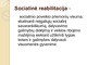 Socialinė reabilitacija