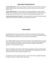 Globa ir rūpyba (2) 3