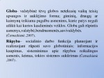 Vaikų globa 2