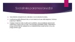Socialinės paramos būklė Lietuvoje 3