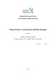 Pagyvenusių ir senų žmonių socialinė apsauga, jos svarba mūsų visuomenėje