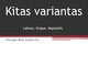 Savanorystė organizacijoje „Kitas variantas“