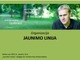 Jaunimo linija