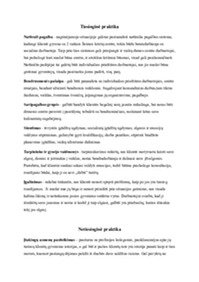 Socialio darbo tiesioginė praktika 1