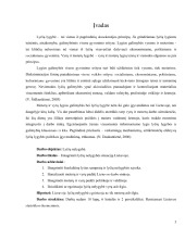 Lyčių nelygybė 3