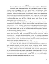 Sociometrinis tyrimas: grupės narių tarpusavio santykių modelis 3