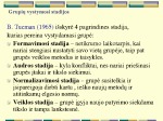 Grupių vystymosi stadijos ir brandos lygis 3