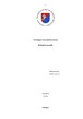 Sociologijos savarankiškas darbas Globalizacija